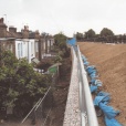 Acton Railway Embankment